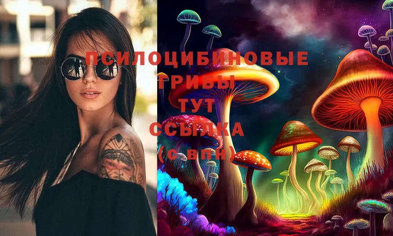 Псилоцибиновые грибы Magic Shrooms  Аркадак 